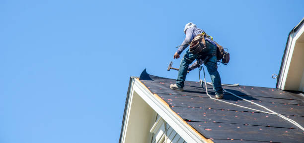 Best Gutter Installation and Roofing  in Coleytown, CT